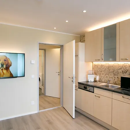 Mozart By Welcome To 萨尔茨堡