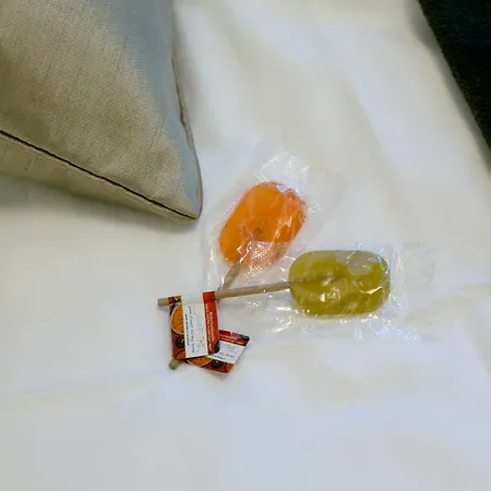 公寓 Mozart By Welcome To 萨尔茨堡