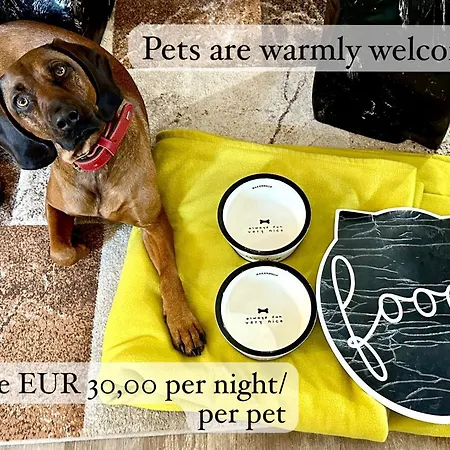 Apartamento Mozart By Welcome To Salzburgo