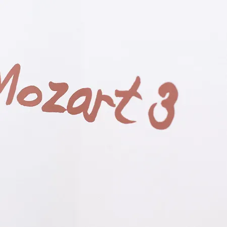 Mozart By Welcome To * ザルツブルク